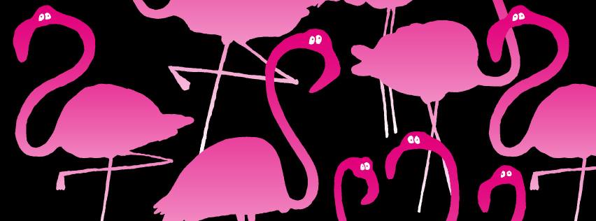 Lousy Flamingo 2pack Boxer shorts Noir/ Bleu