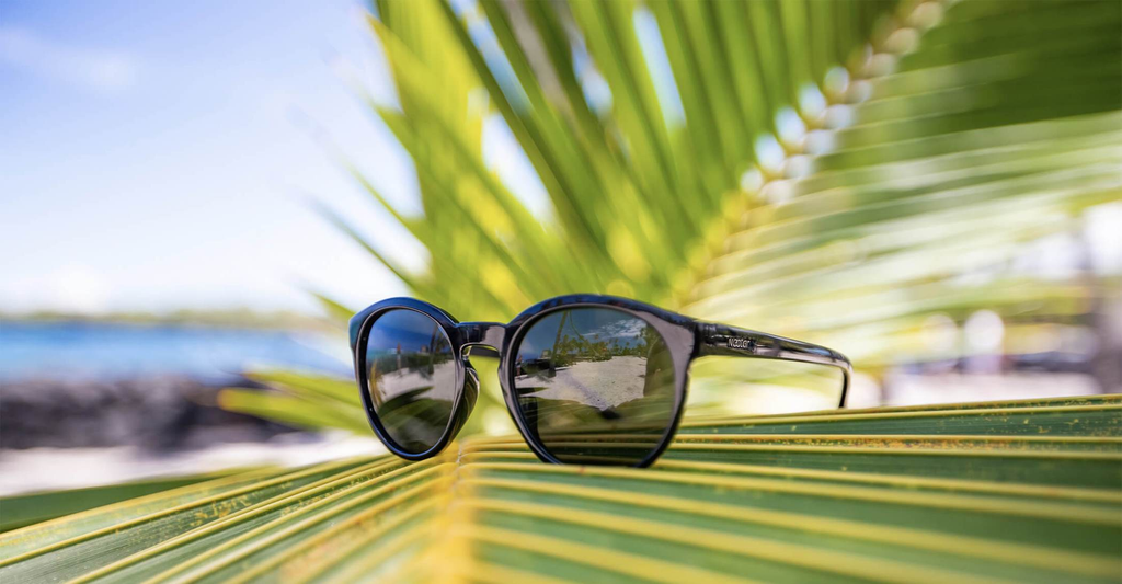 Lunettes de soleil Nectar