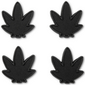 Mini algues vertes
