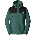 Veste Antora TNF Black/NPF