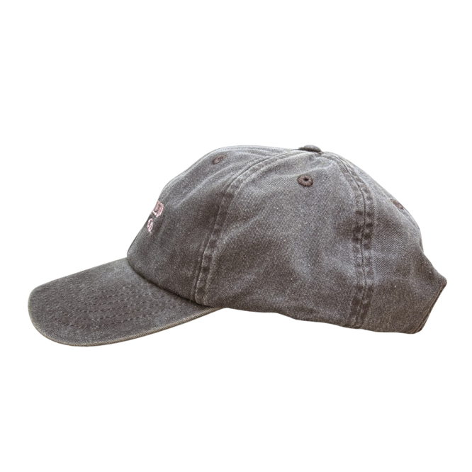 Sunfade Dad Cap Washed Brown