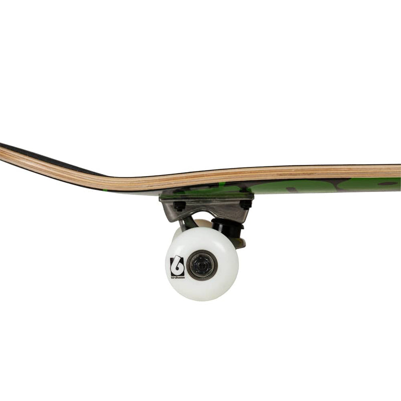 Planche à roulettes complète Rasta Stage 1 8.0" Triple Stack